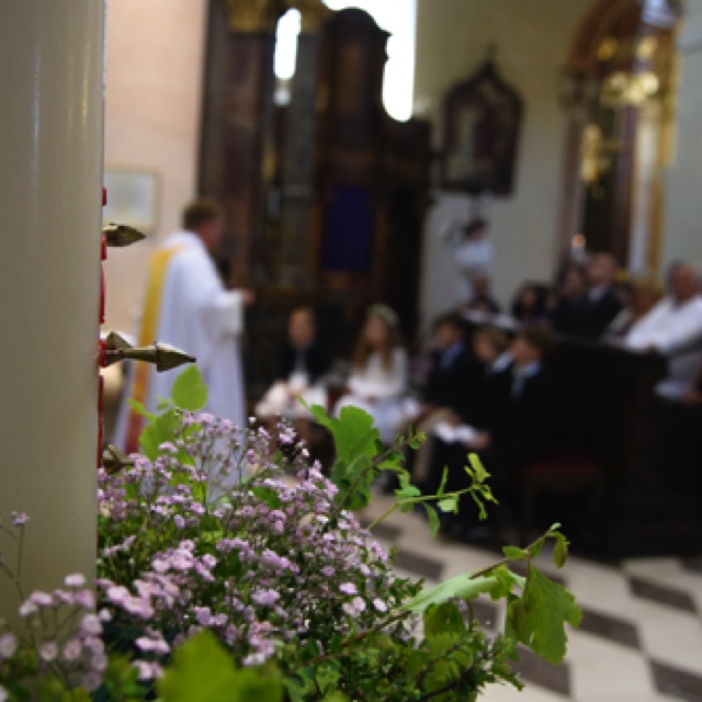 _DSC2907.jpeg _DSC2907.jpeg