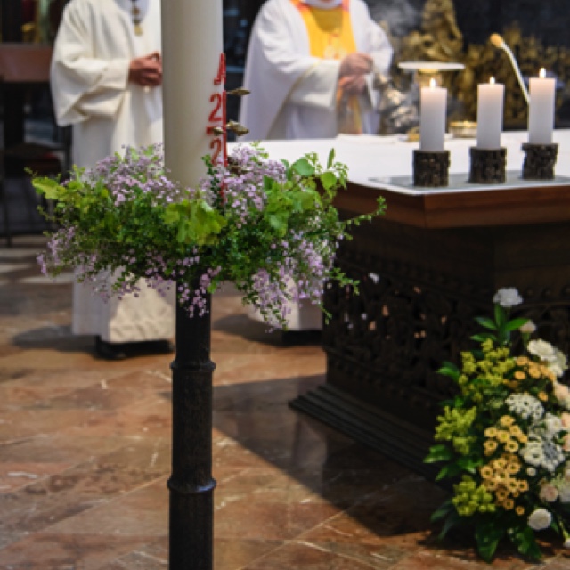 _DSC3043.jpeg _DSC3043.jpeg