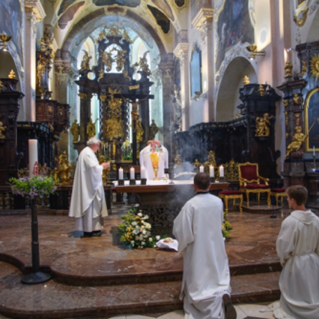 _DSC3054.jpeg _DSC3054.jpeg