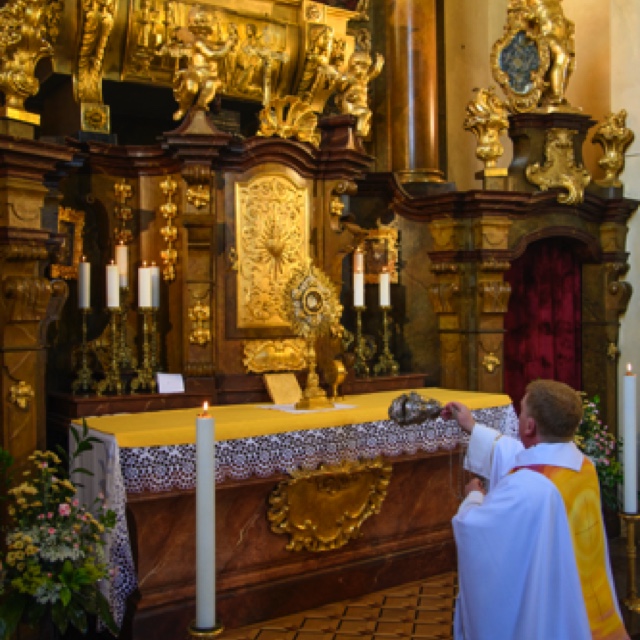 _DSC3184.jpeg _DSC3184.jpeg