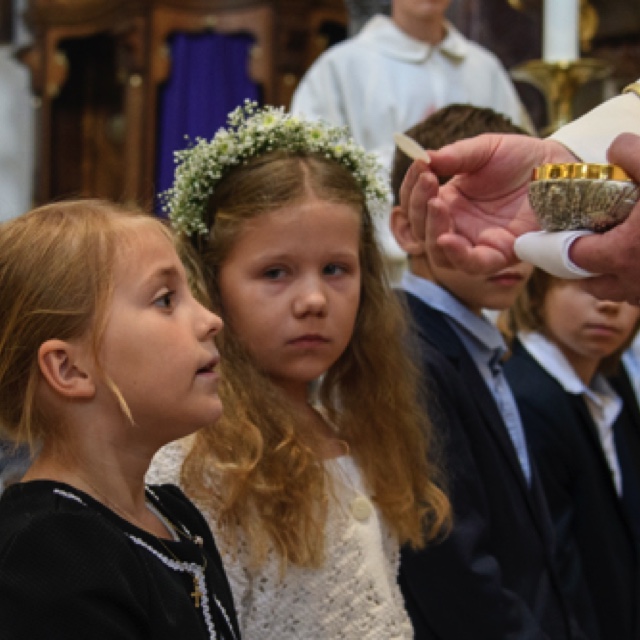 _DSC3111.jpeg _DSC3111.jpeg