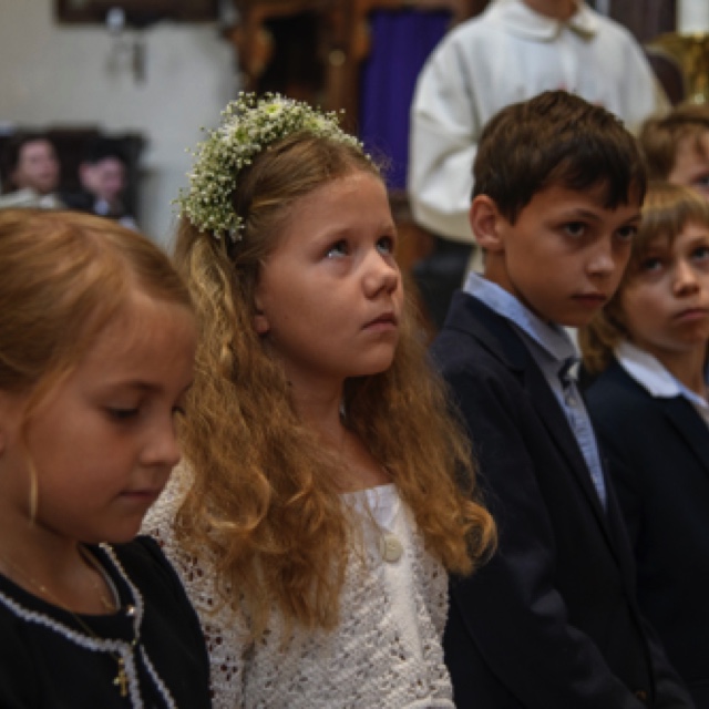 _DSC3117.jpeg _DSC3117.jpeg