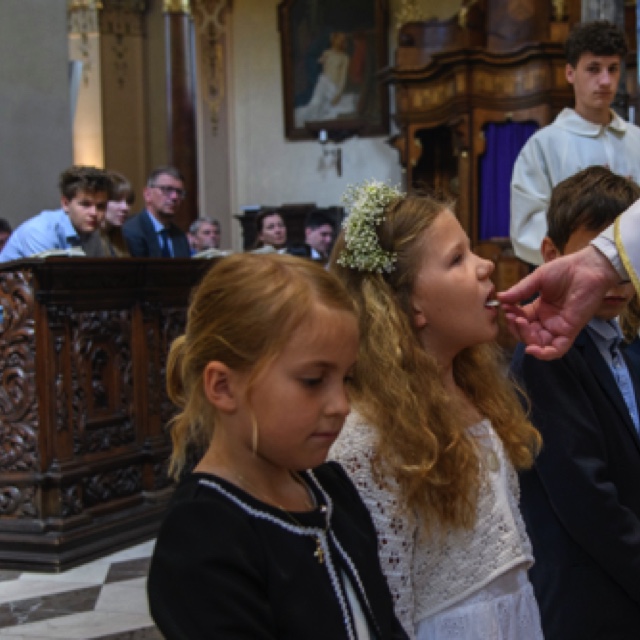 _DSC3120.jpeg _DSC3120.jpeg