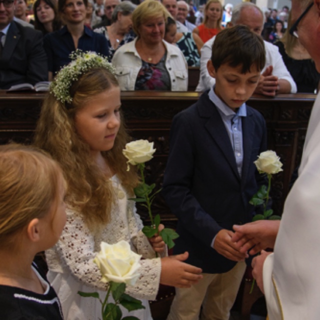 _DSC3146.jpeg _DSC3146.jpeg