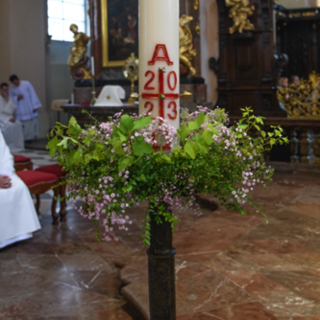 _DSC2904.jpeg _DSC2904.jpeg