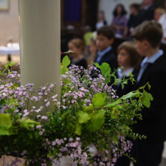 _DSC3072.jpeg _DSC3072.jpeg