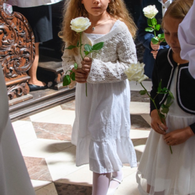 _DSC3164.jpeg _DSC3164.jpeg