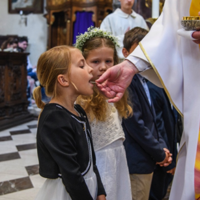 _DSC3113.jpeg _DSC3113.jpeg