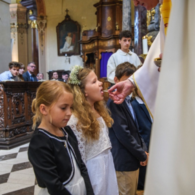 _DSC3119.jpeg _DSC3119.jpeg